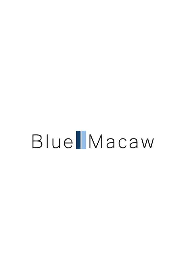 BlueMacaw